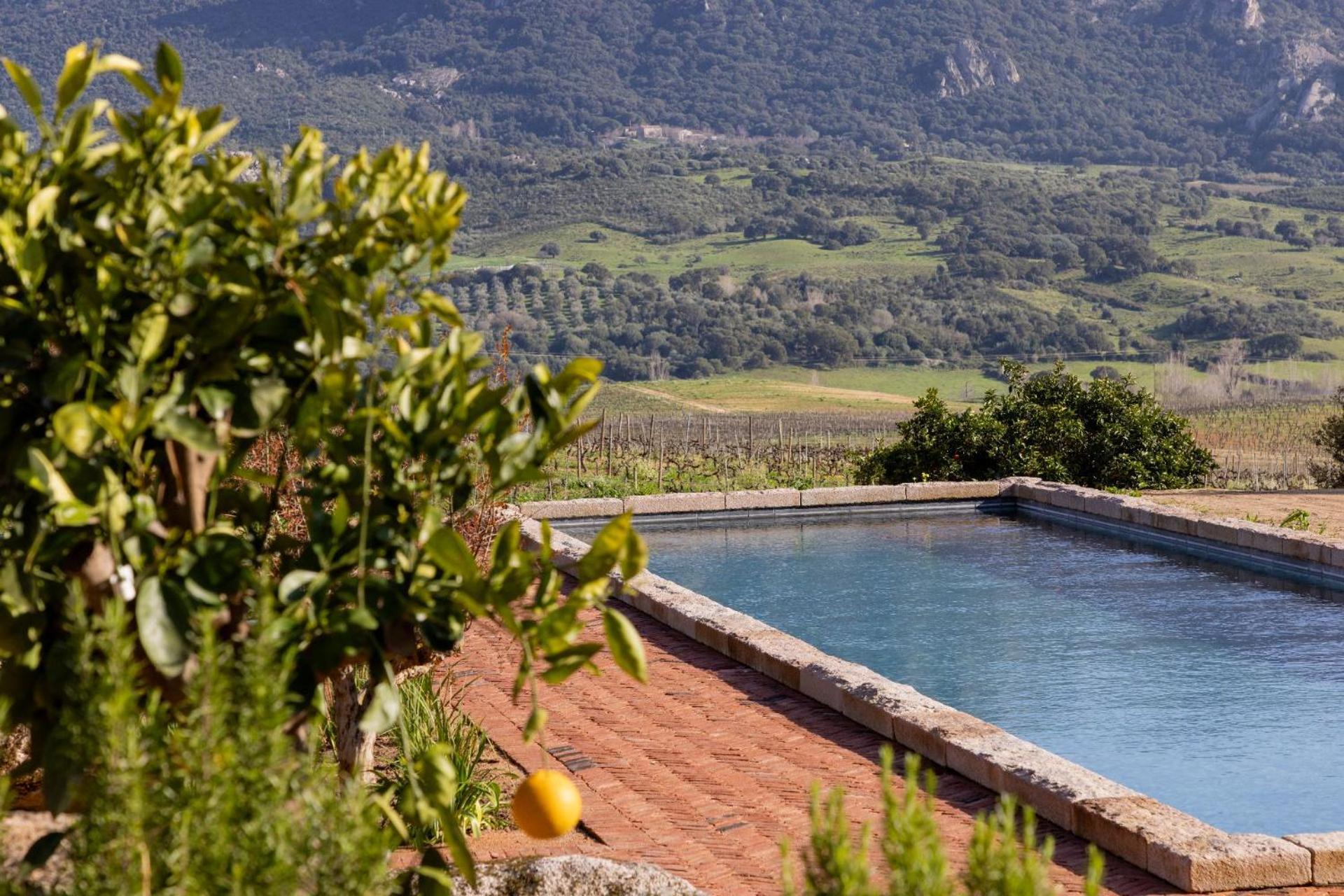 Le Hameau De Saparale Sartène Exteriér fotografie